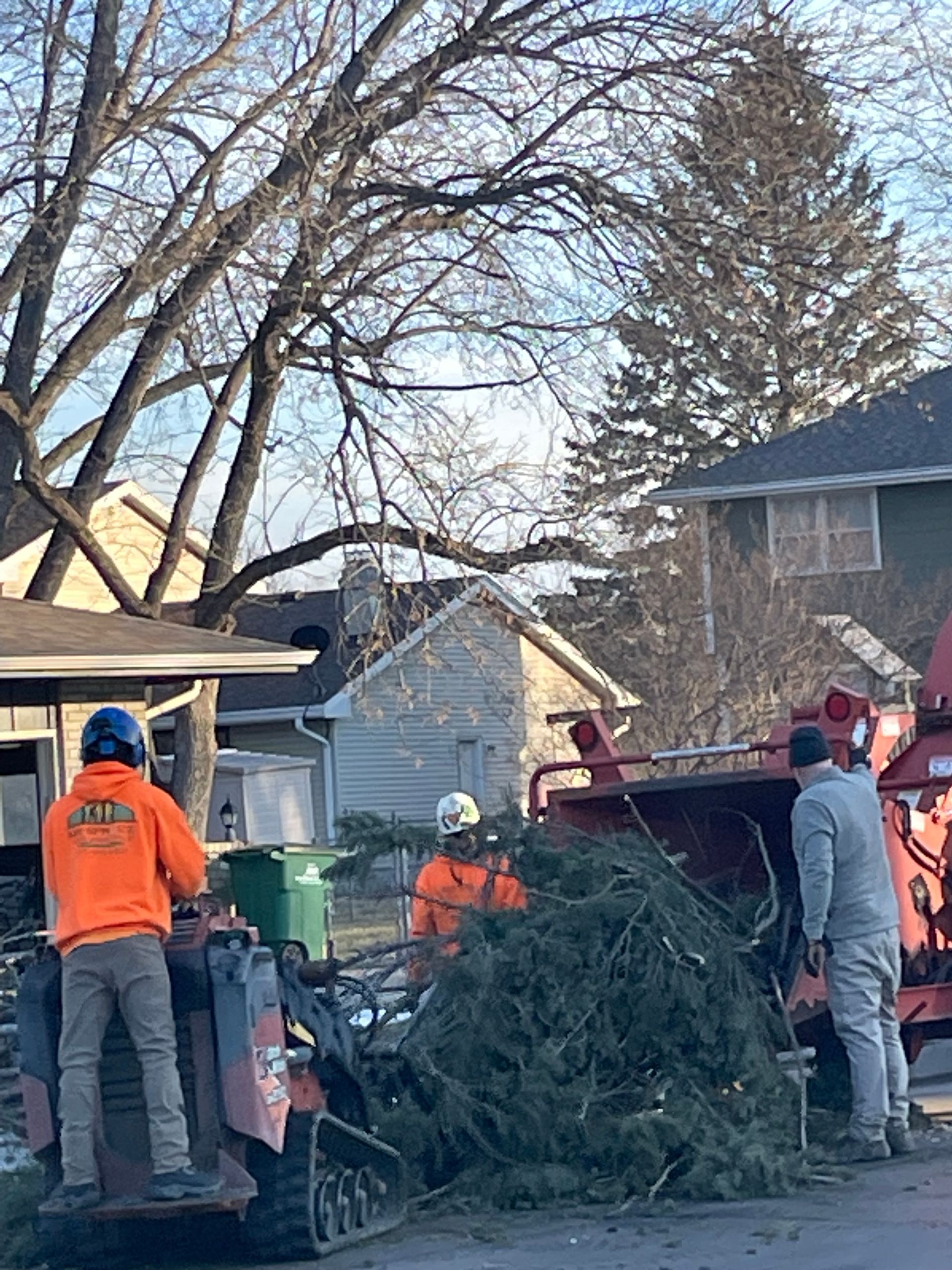 Team Work — Ankeny, IA — Mr. Spruce Hill Tree Service LLC