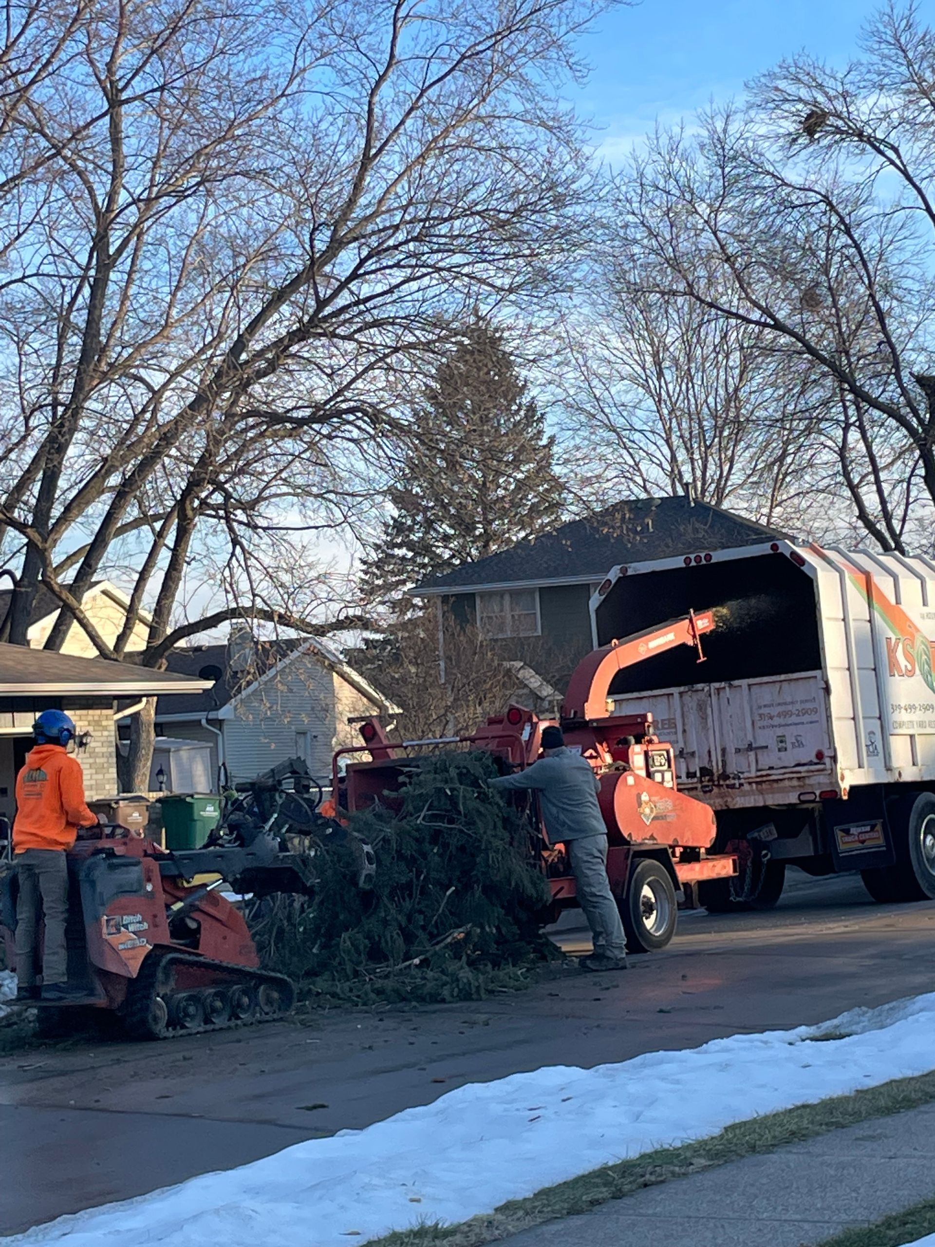 Root Cleaning — Ankeny, IA — Mr. Spruce Hill Tree Service LLC