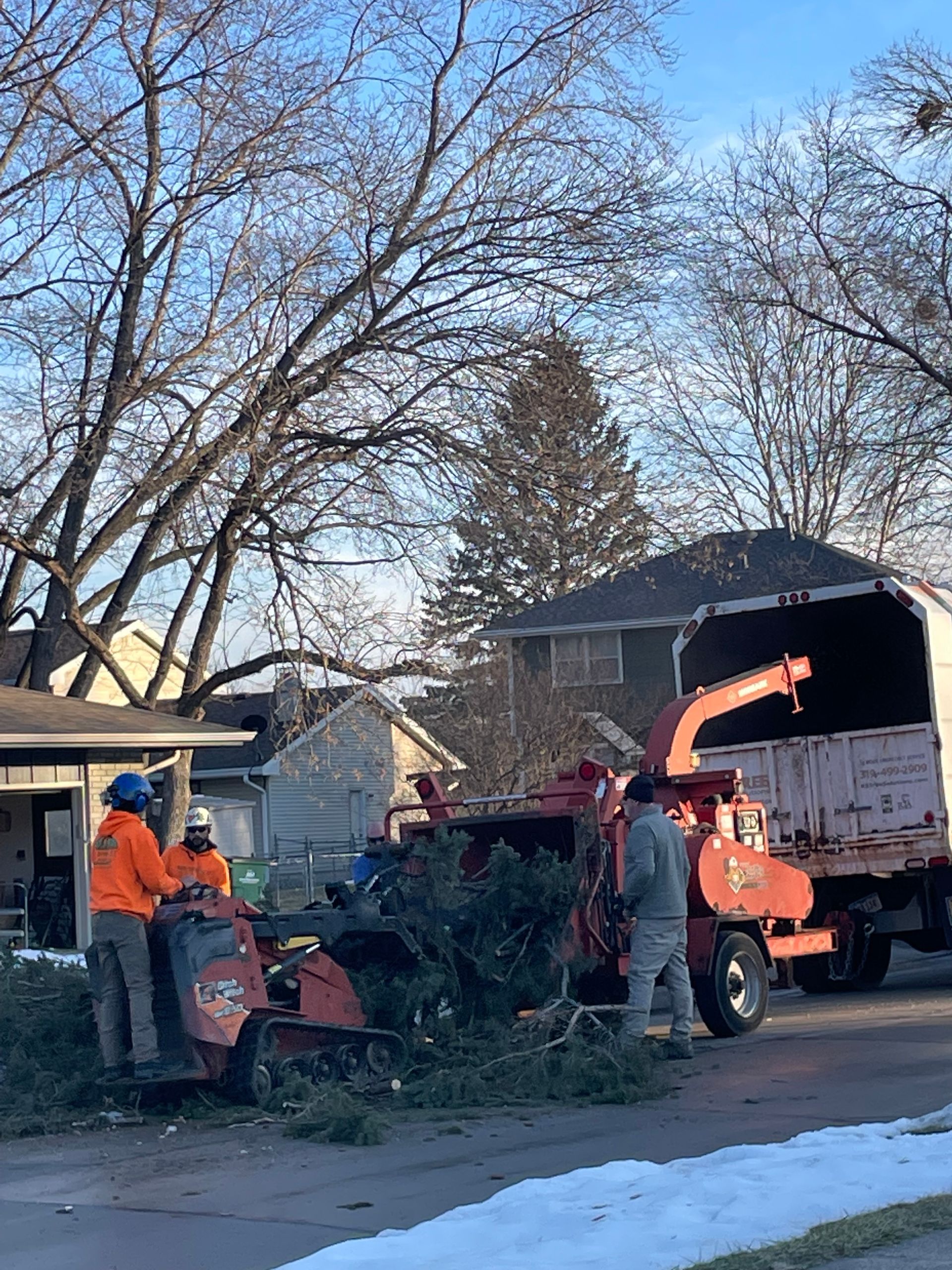 Tree Disposal — Ankeny, IA — Mr. Spruce Hill Tree Service LLC