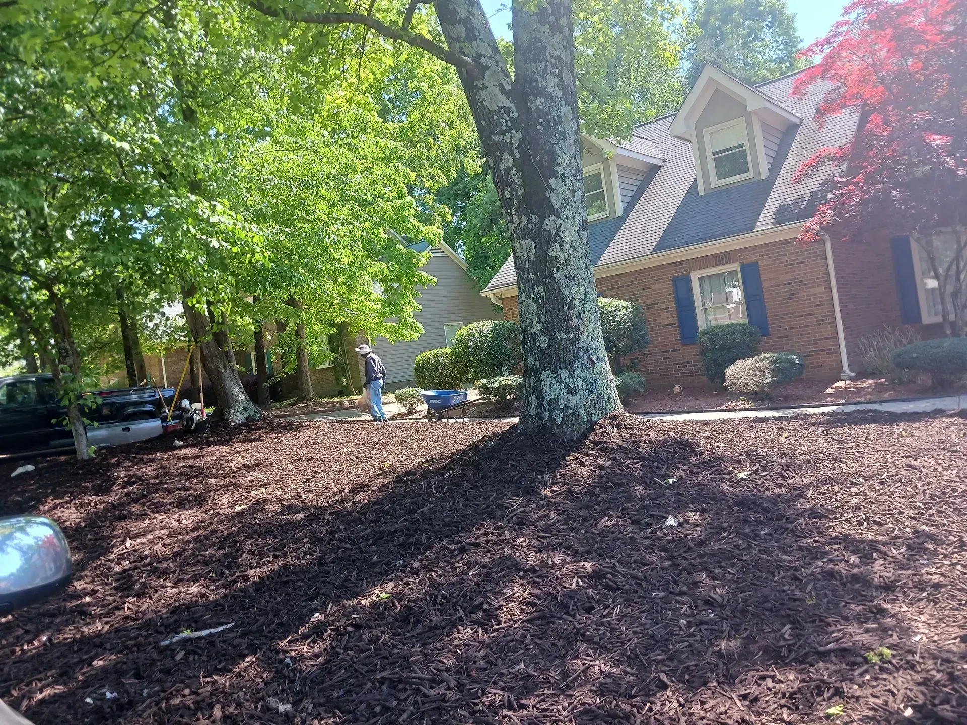 A person spreads mulch in a residential yard near a large, textured tree in front of a brick house.