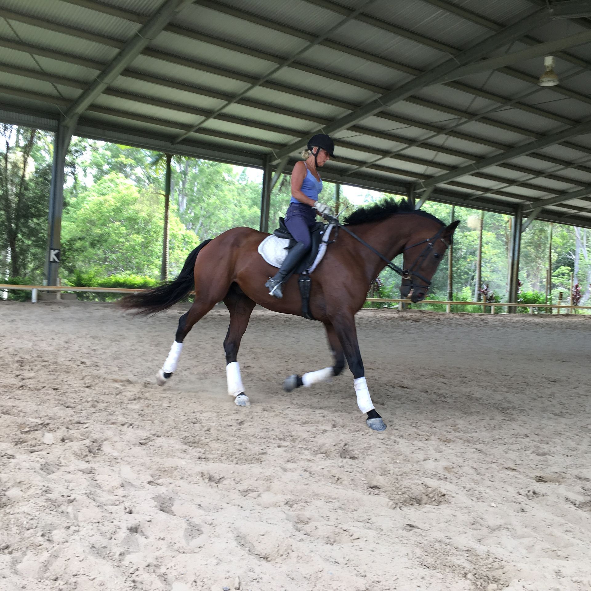 Rider on a brown horse in an indoor riding arena, trotting across sandy ground — Merrypark Equestrian Centre In Eumundi, QLD