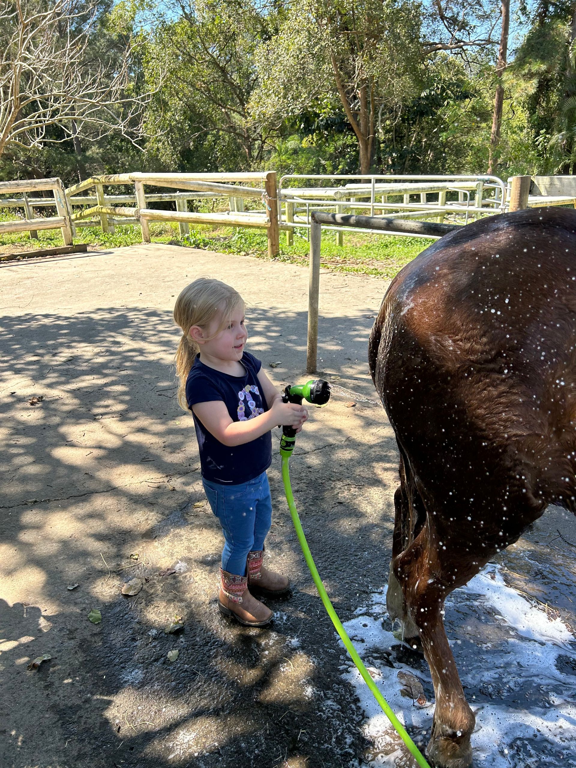 A Man Is Riding A Black Horse In A Dirt Field — Merrypark Equestrian Centre In Eumundi, QLD