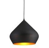 Asha black cone pendant light