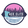 Ace Elite Volleyball Club logo with sunset, pine trees, waves, and navy banner