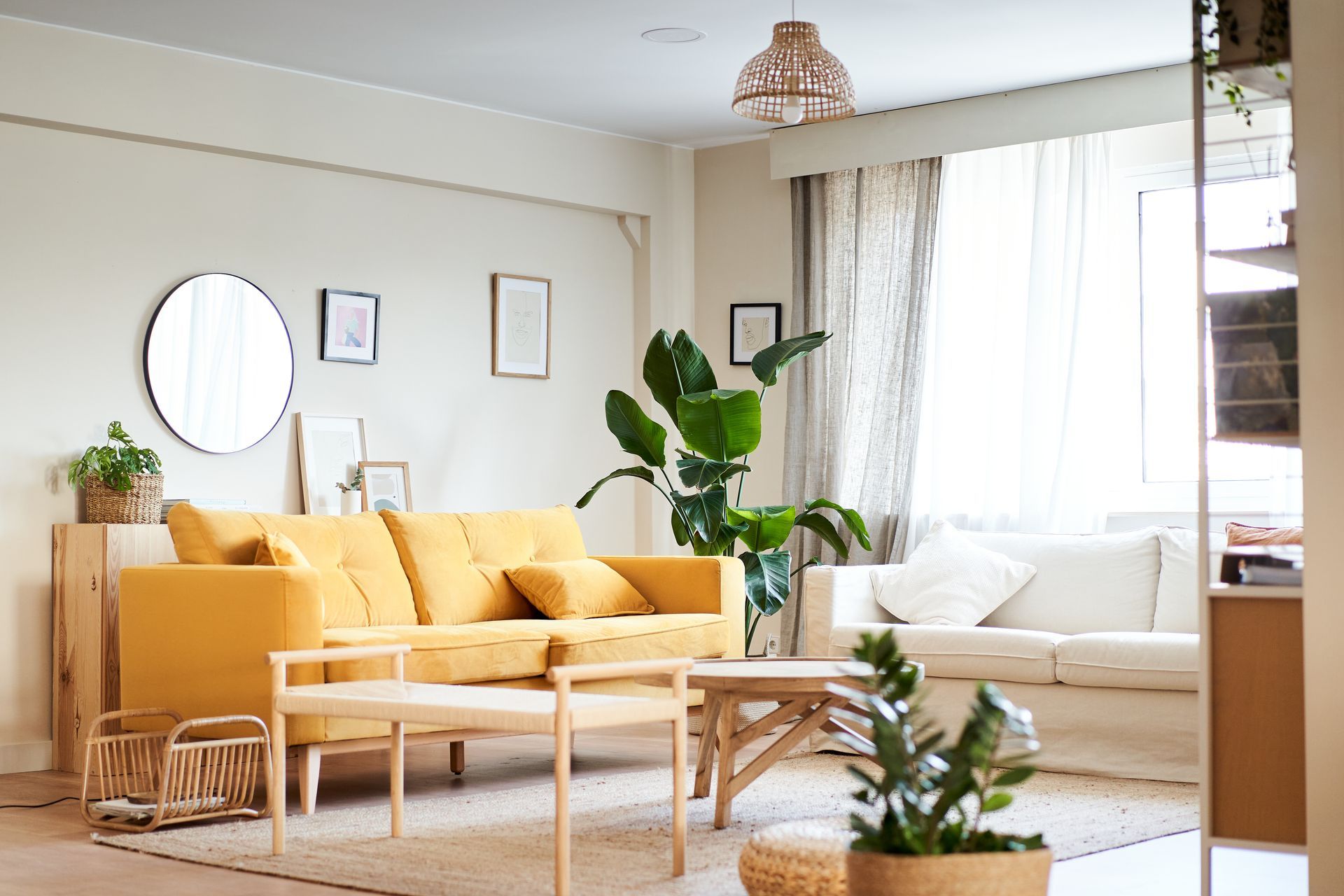 Bright living room with mustard sofa, round mirror, coffee table, plants, and large window seat