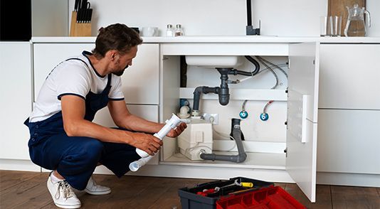 Professional plumbers