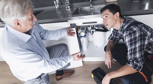 Professional Inspections
