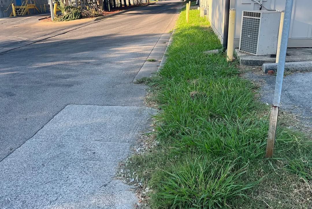 Grassy strip between sidewalk and street. Concrete sidewalk, asphalt street, and building on right.