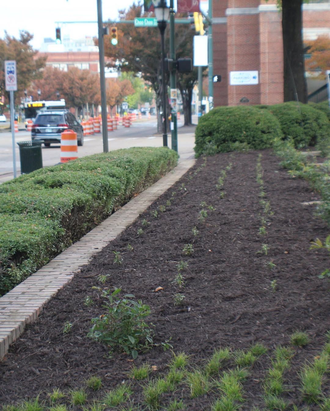 Street with a brick-bordered flower bed and trimmed bushes. A car drives on the road.