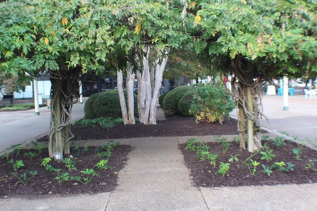 Stone path through landscaped area with trees, shrubs, and flowers.