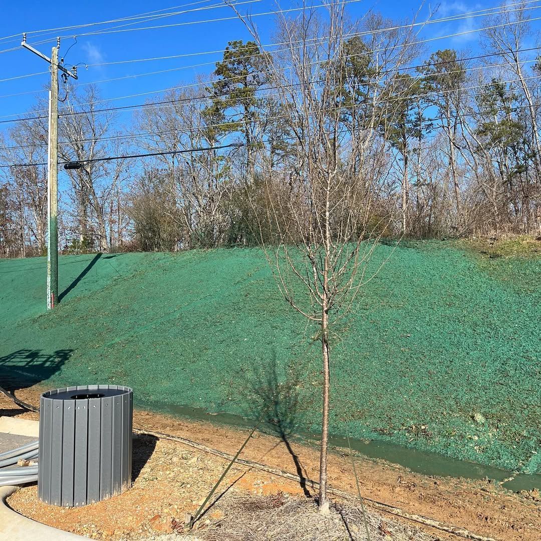 Tree in front of a green hillside, trash can on the left, power lines above, sunny day.