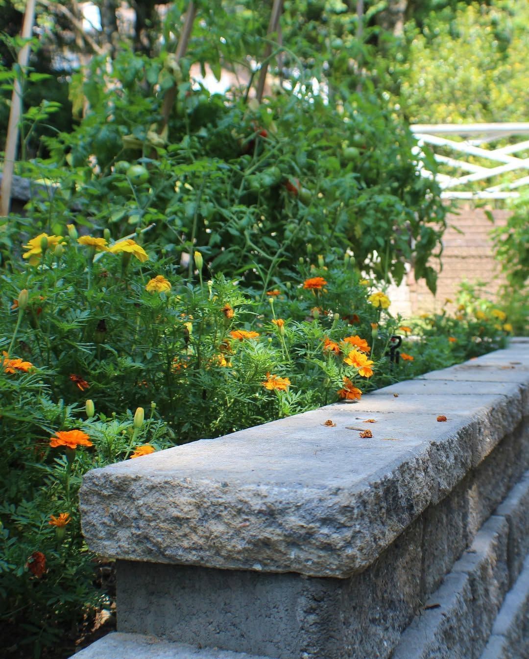 Low stone wall with blooming orange and yellow flowers in front of lush green foliage.