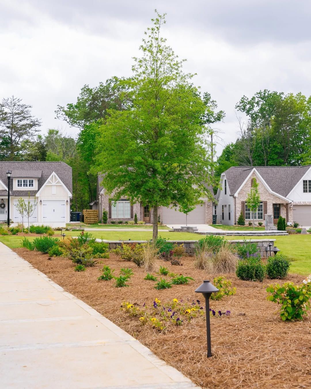 A tree and landscaped beds next to a sidewalk and houses. Cloudy sky above.