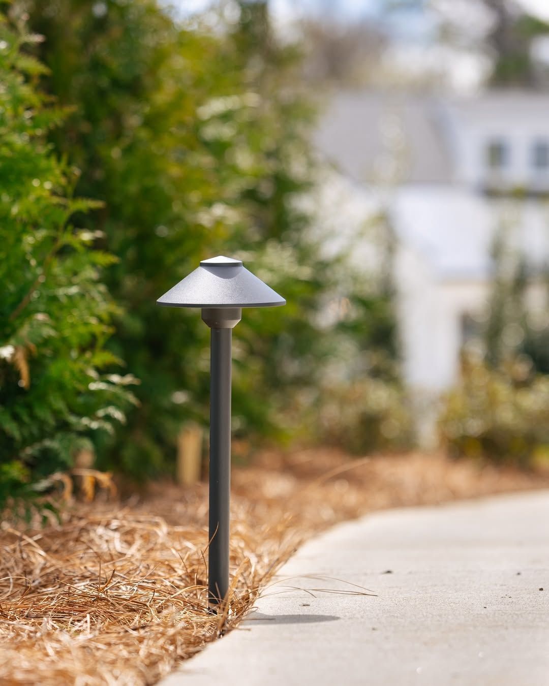 Dark gray path light next to a concrete walkway, green foliage, and a blurred white building.