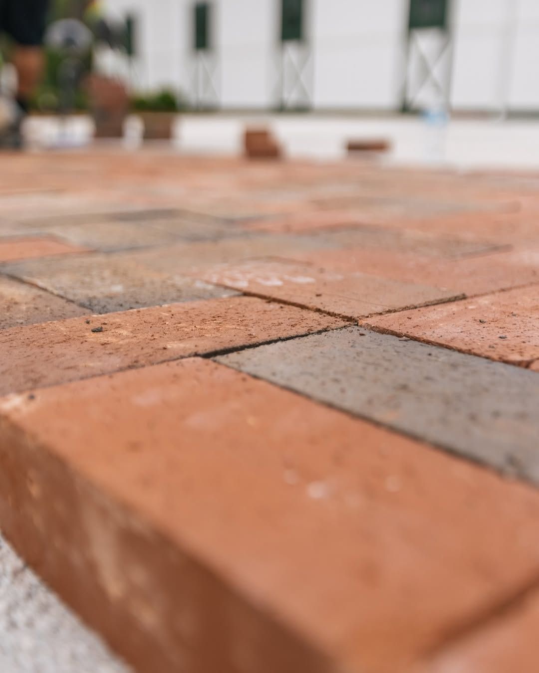 Close-up of a brick patio with red and gray bricks, outdoors.
