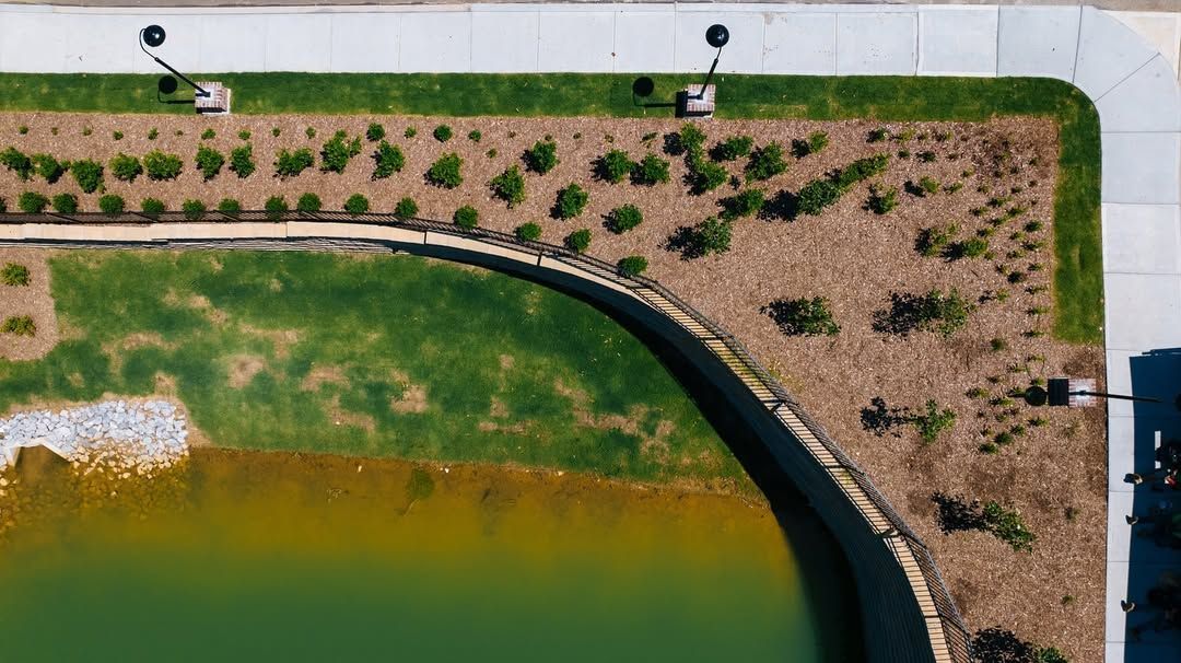 Overhead view of a grassy pond, bordering a landscaped area with plants and a sidewalk.