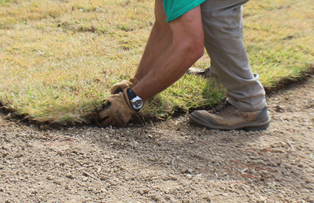 Person installing sod, bending over, wearing gloves and work boots.