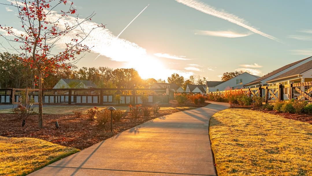 Pathway bathed in sunlight, leading past buildings and landscaping, with a bright sky overhead.