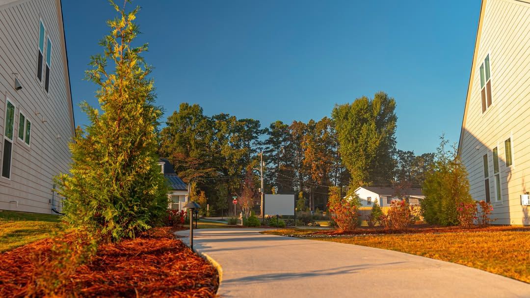 Paved walkway between two white buildings, leading to trees and a clear blue sky.