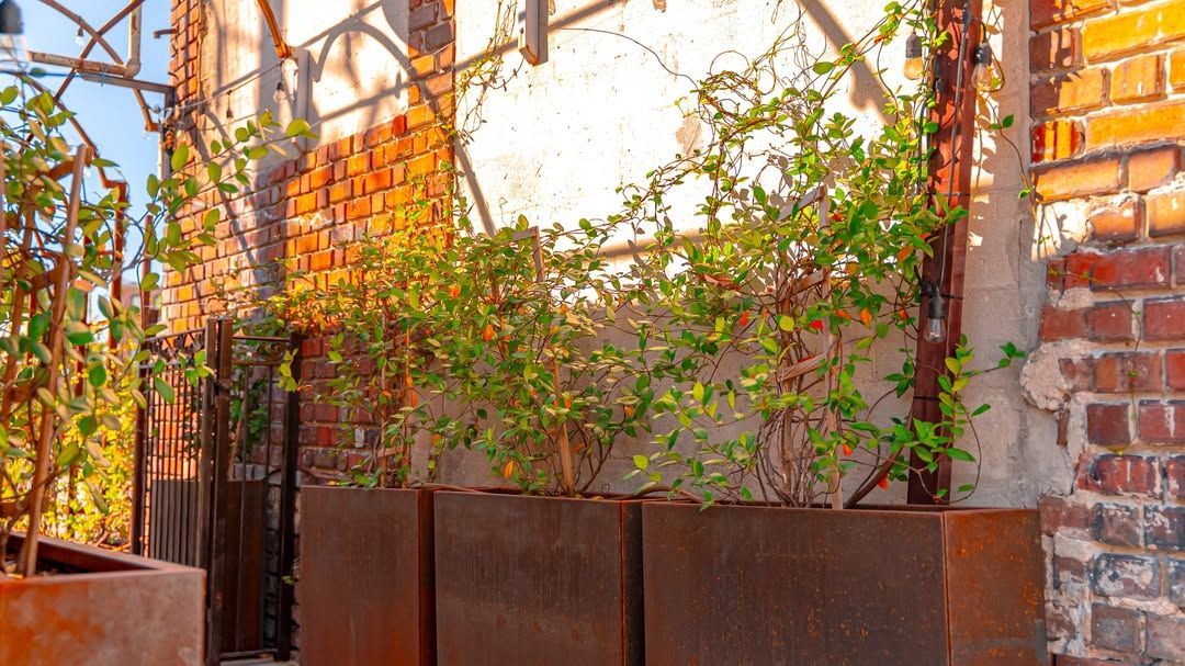 Rust-colored planters with greenery against weathered brick wall.