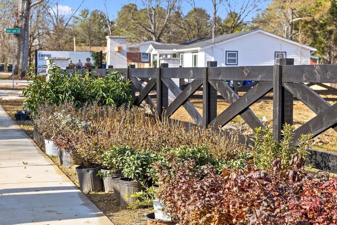 Black fence borders plants in a row, sidewalk in foreground, houses and trees in background.