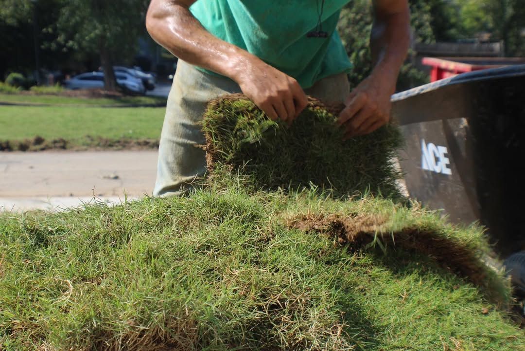 Person installing sod, green grass, black bin in the background.