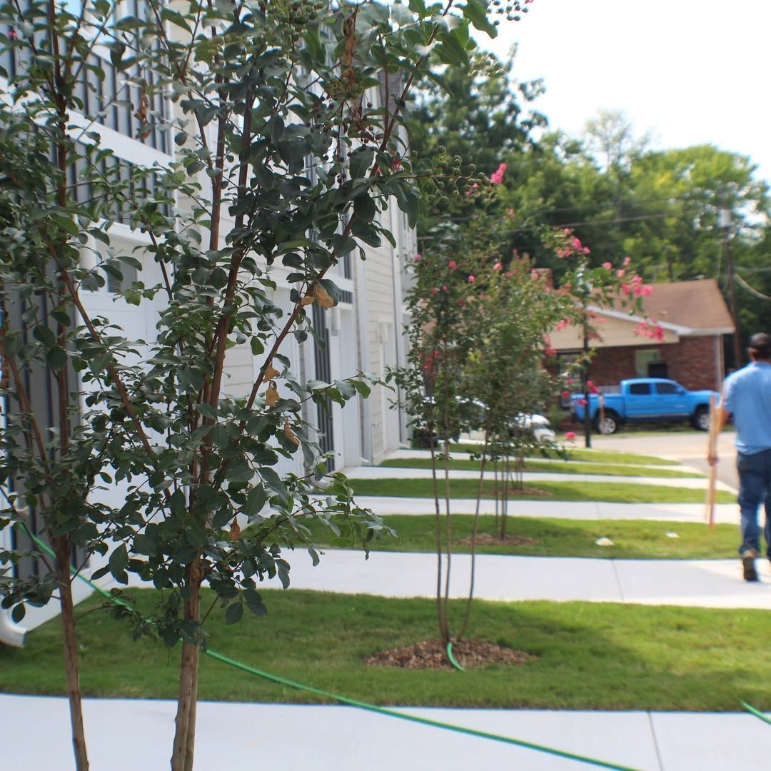 Trees line a sidewalk in front of a building; a person walks toward the right.