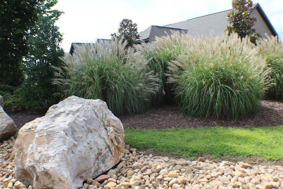 Large rock in foreground, ornamental grasses and brown mulch with building in the background.
