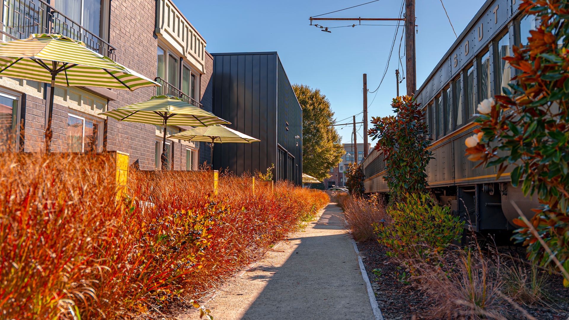 Narrow path between buildings and train cars with fall foliage.