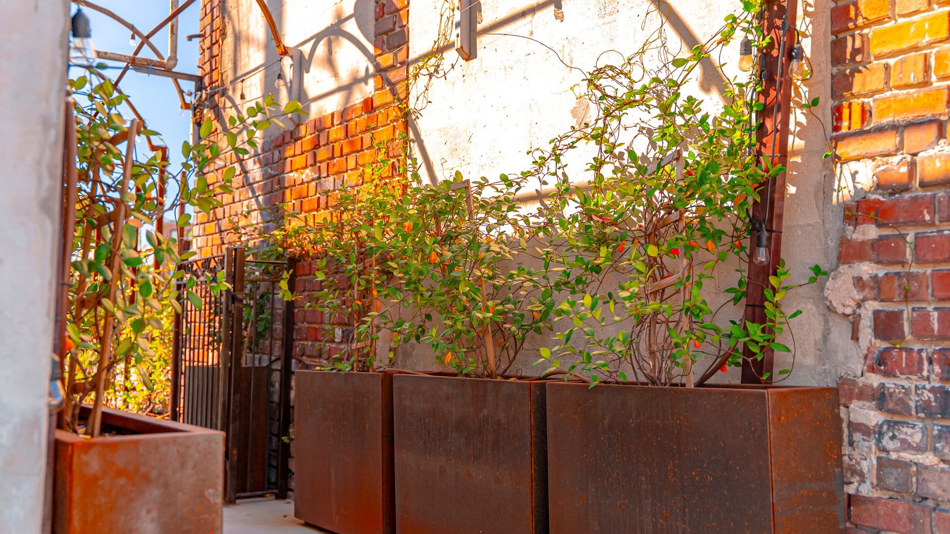 Planter boxes with green plants sit in front of a brick wall and rustic metal framework.
