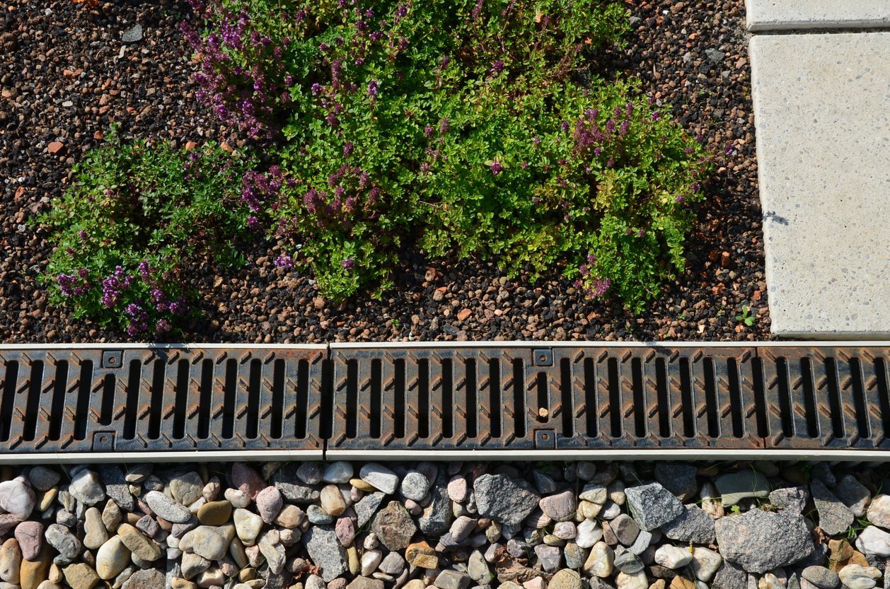 Garden bed with green shrubs, gravel border, and a metal drain grate beside a concrete walkway