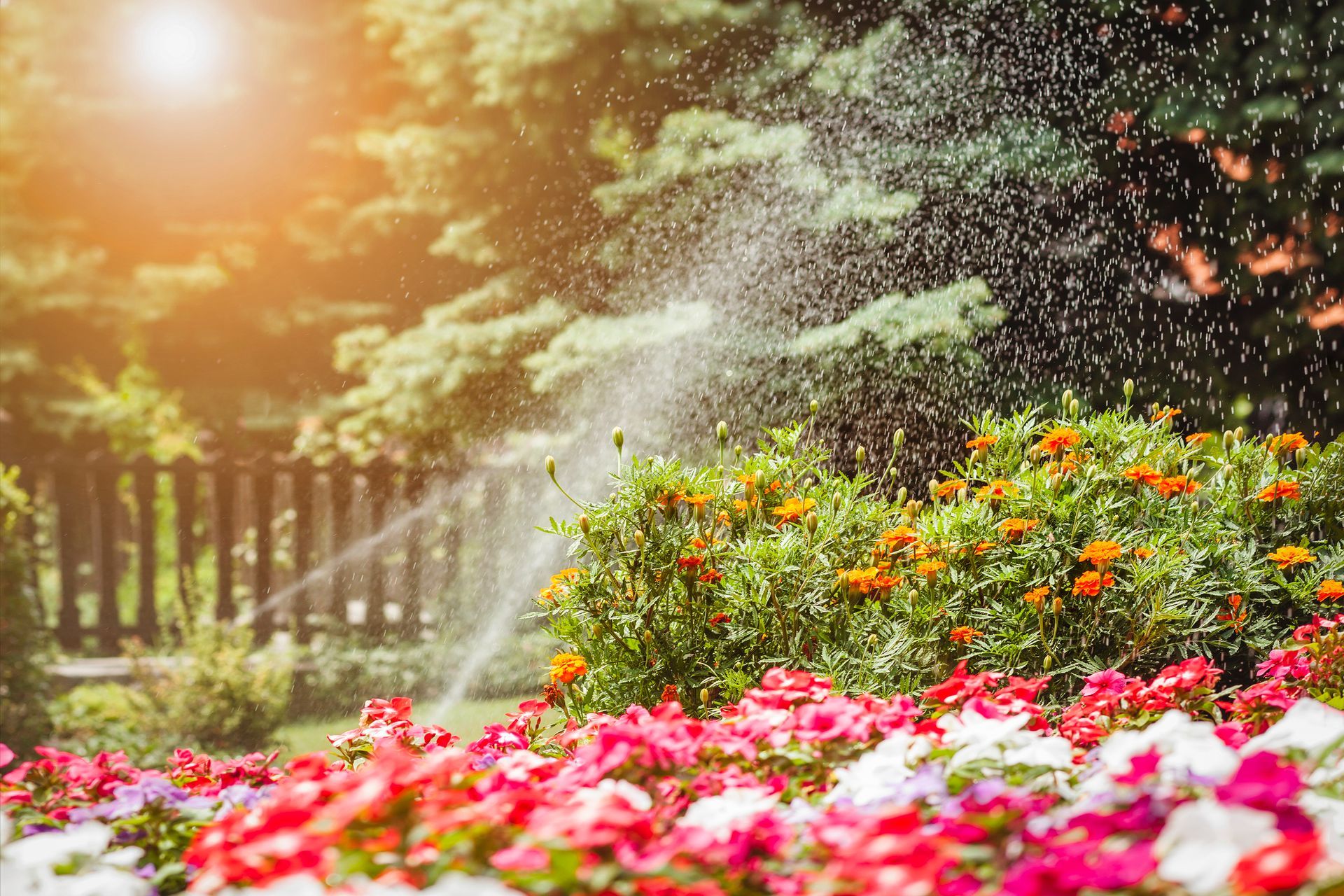 Sprinkler watering colorful flowers in a garden on a sunny day.