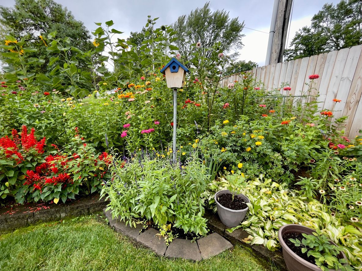 Birdhouse in a colorful garden with various flowers and lush greenery, a white fence and a cloudy sky.