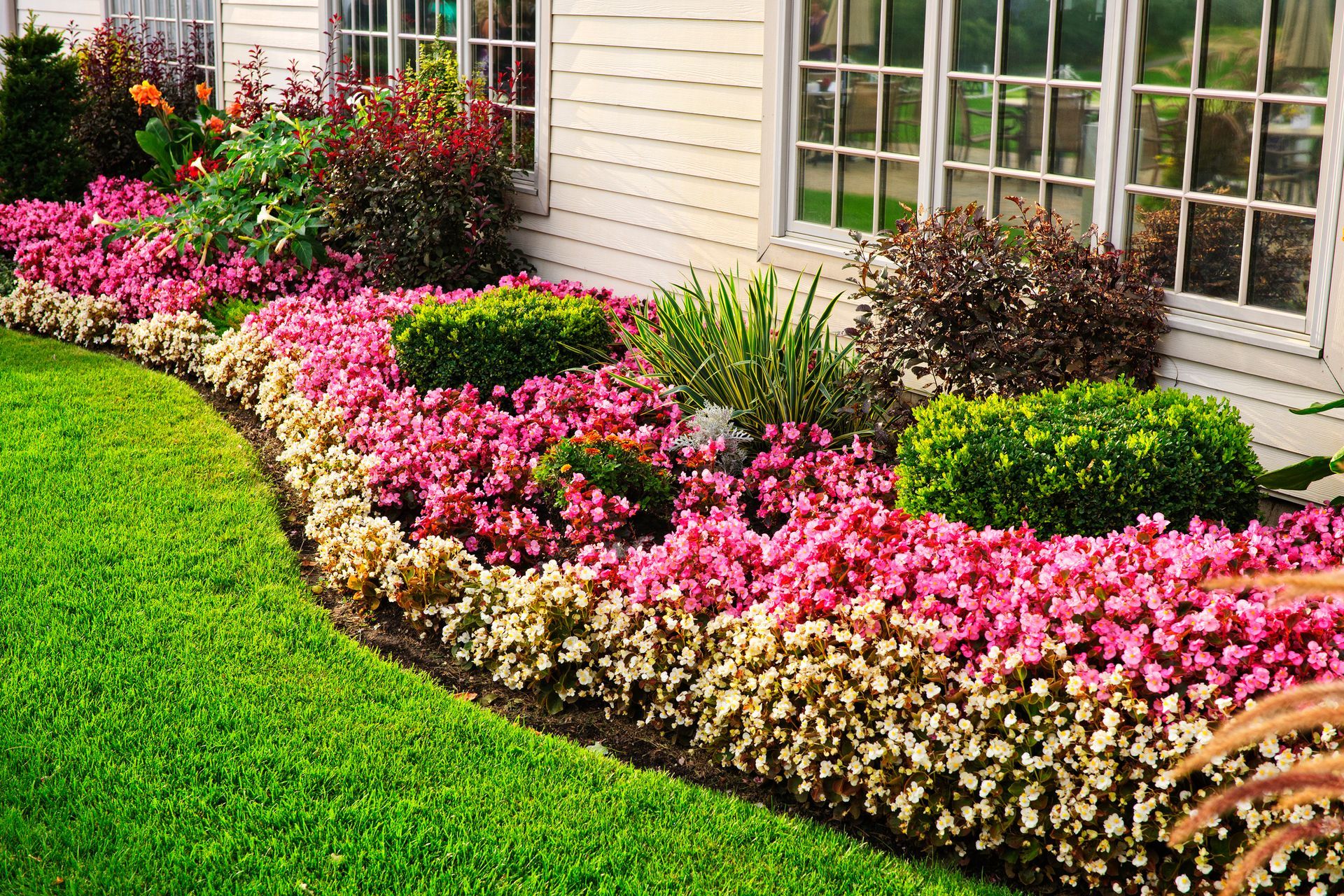 Colorful flower bed in front of a house, with pink and white flowers, green grass.