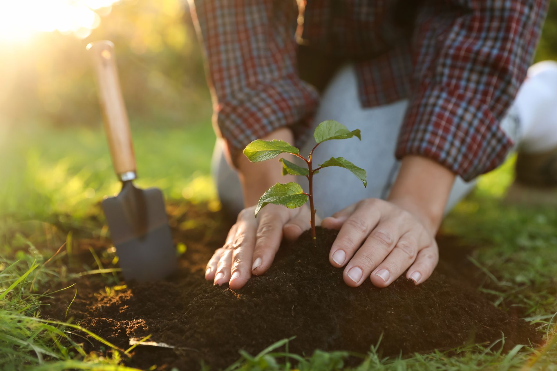 Person kneeling, planting a seedling in the soil with a trowel, outdoors in sunlight.