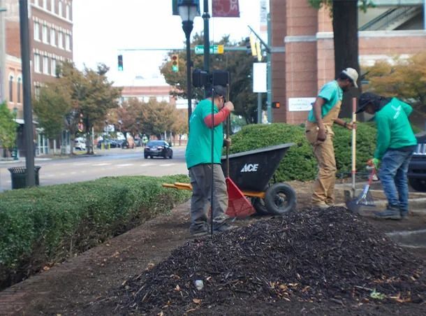 Three people mulching a garden bed by a street. They are wearing green shirts and using tools.