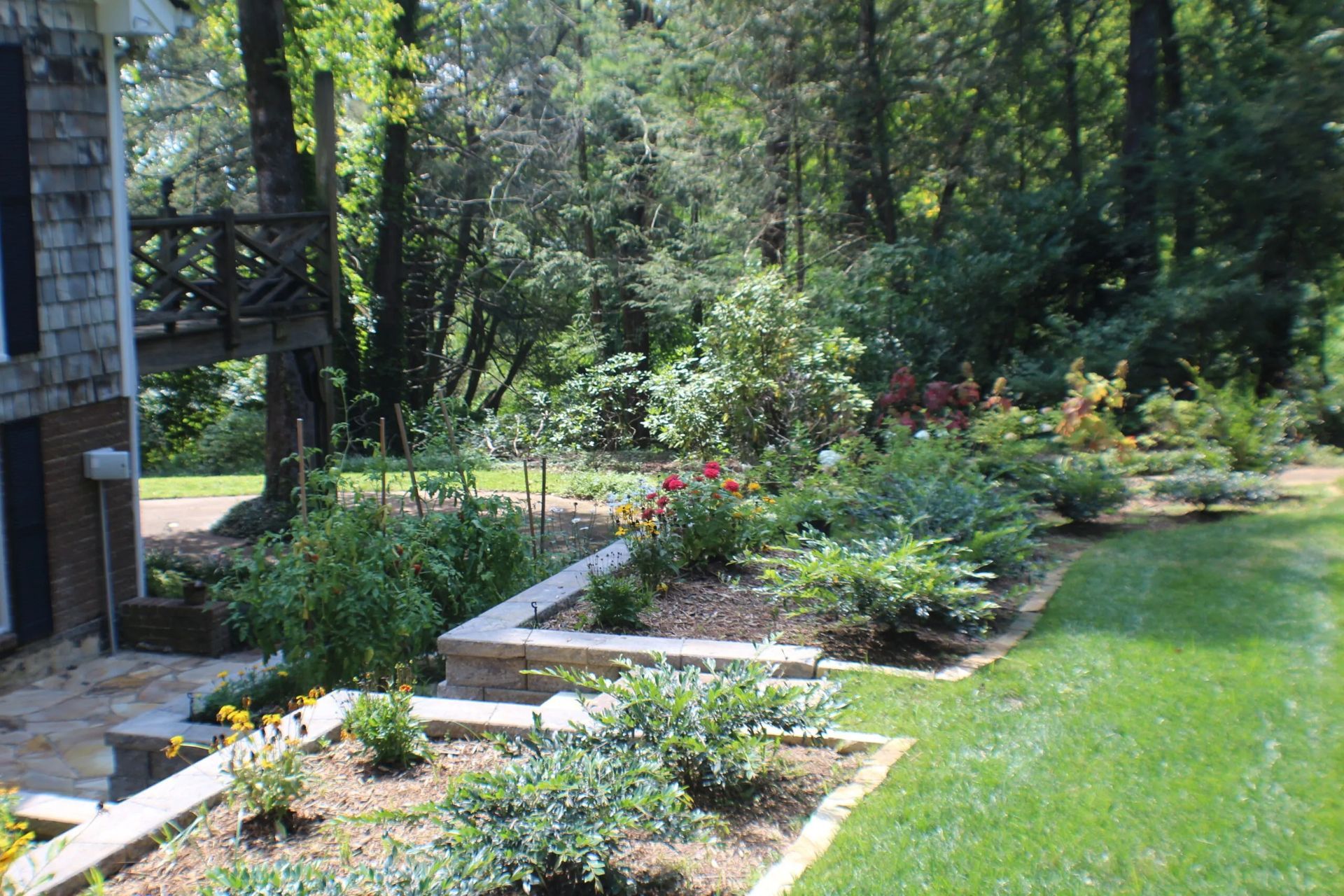 Garden bed with various plants and flowers along a stone walkway and a lush green lawn.