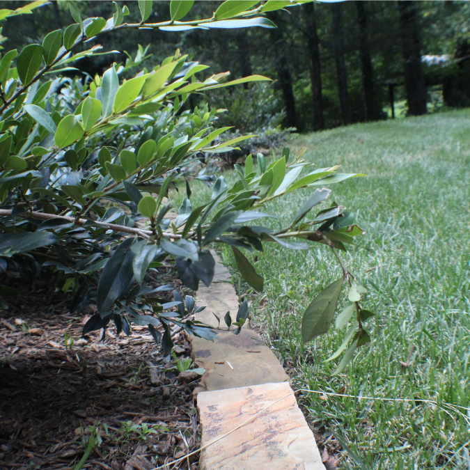 Green foliage overhangs a brick edge separating a lawn from a garden bed.
