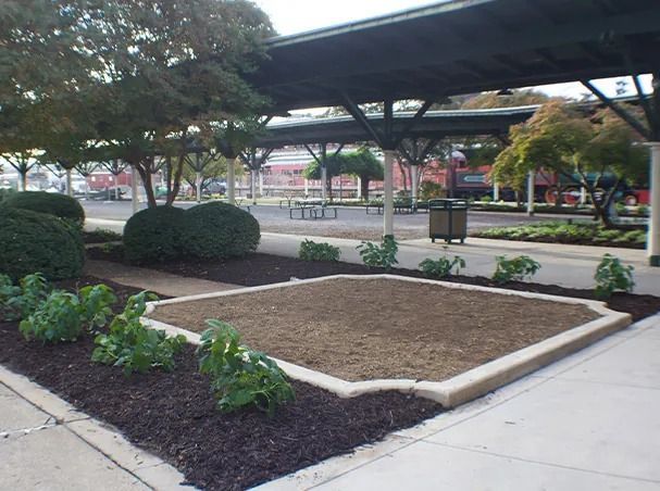Landscaped area with shrubs, mulch, and a concrete border, under a covered walkway.