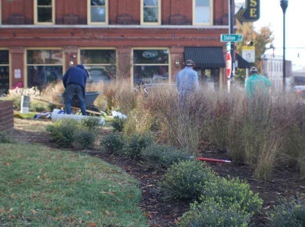 People working in a planted area with tall grasses and bushes in front of a brick building.
