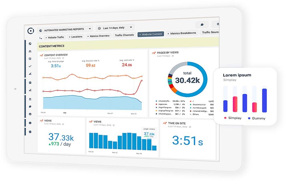 Software for our google ads clients