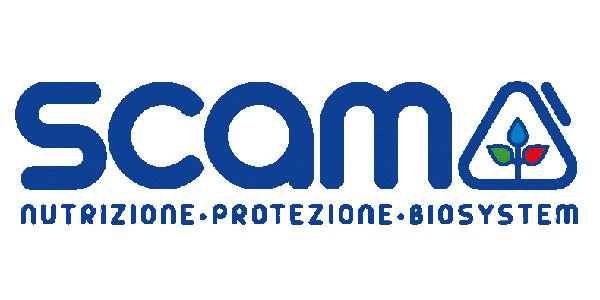 scam