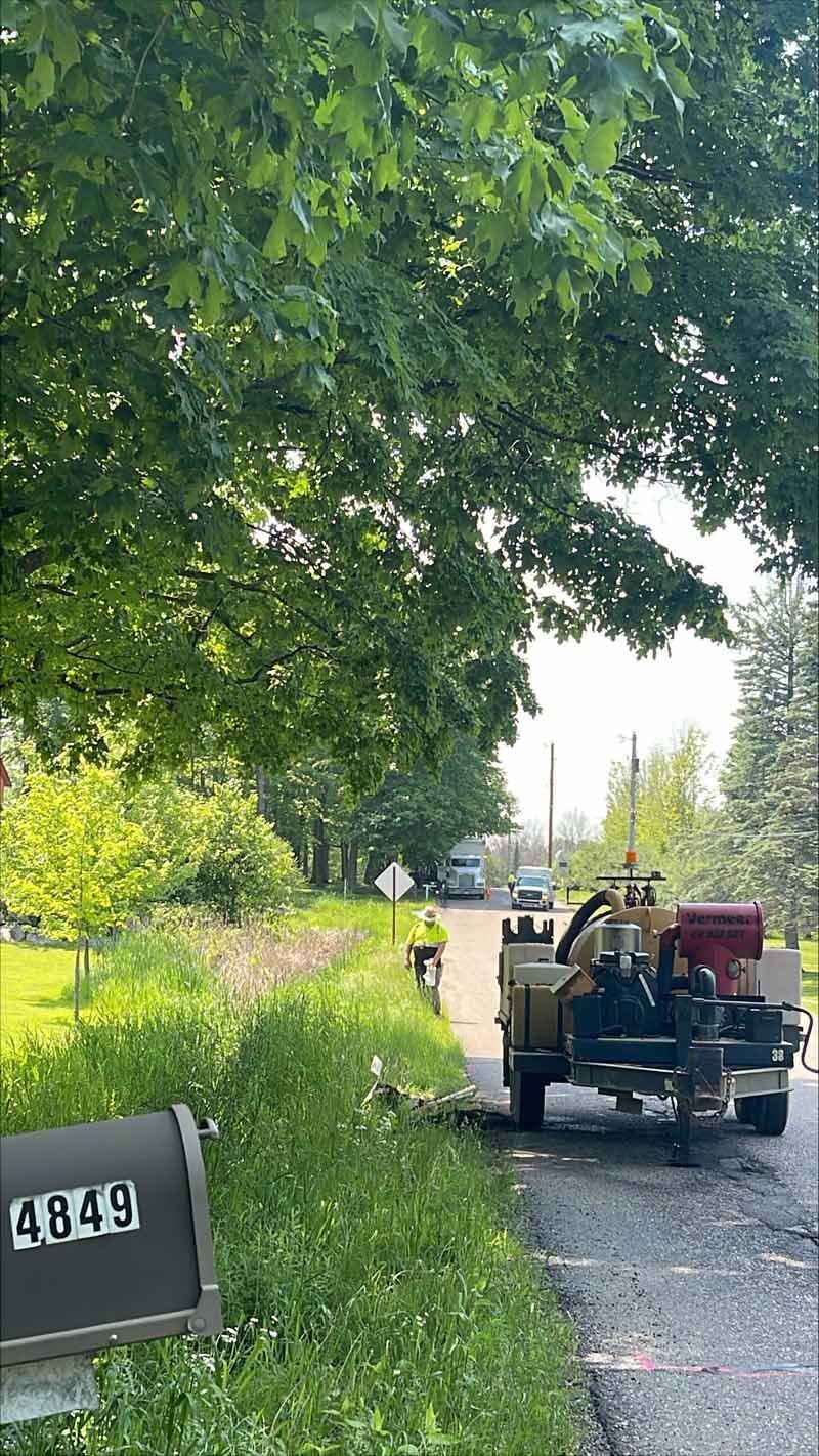 Tree service truck and worker on a residential street; mailbox with 
