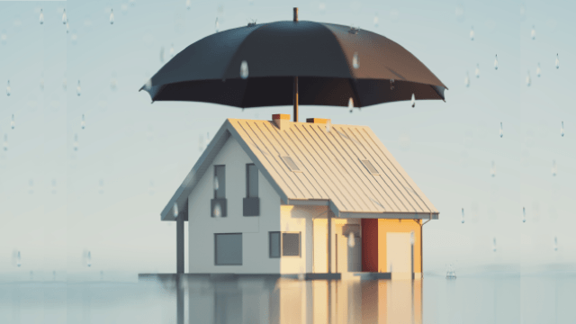 Corn Field — Farm Insurance in Greeneville, TN