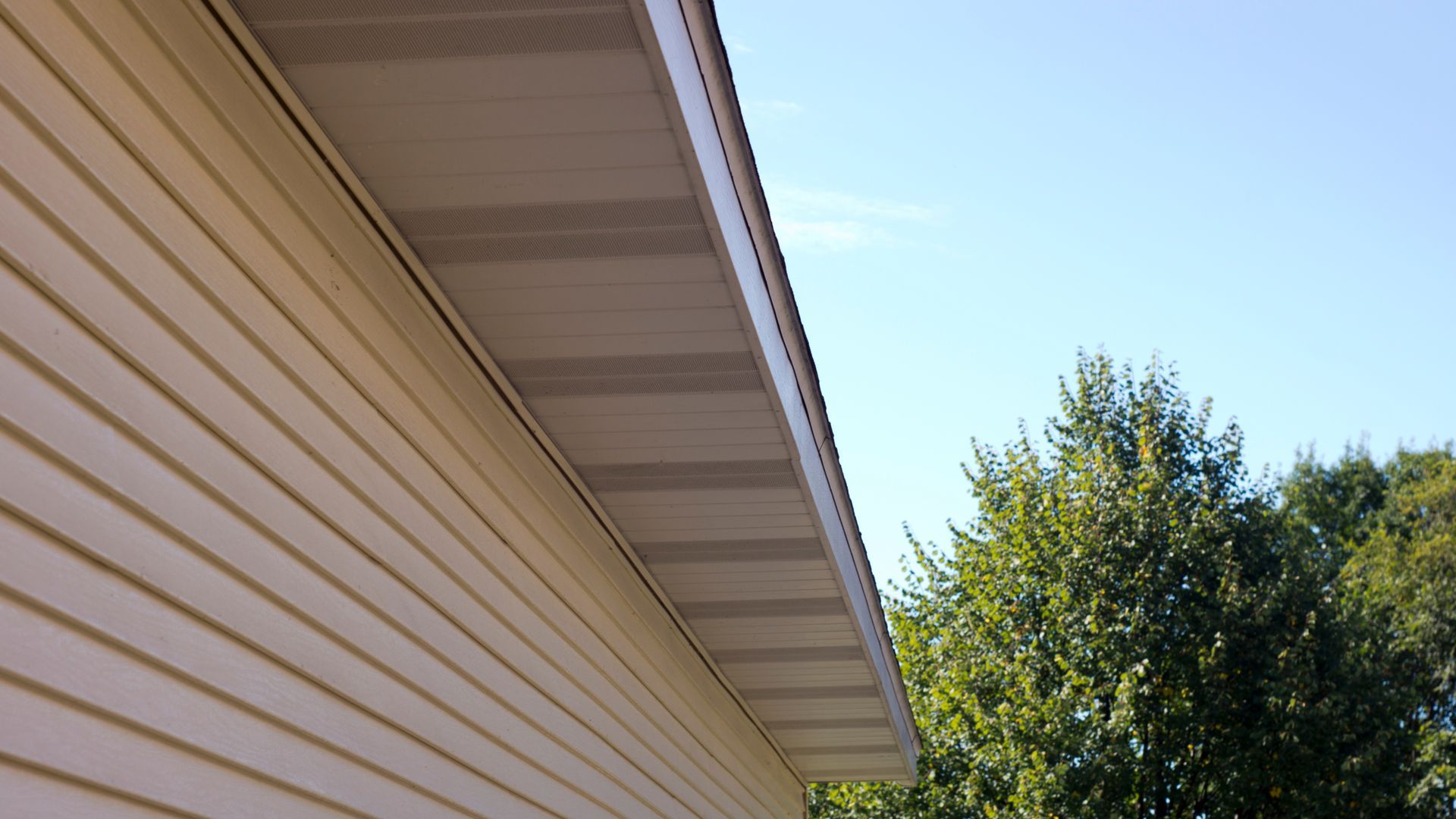 House roofline with beige siding and white eaves against a blue sky, with a leafy green tree nearby