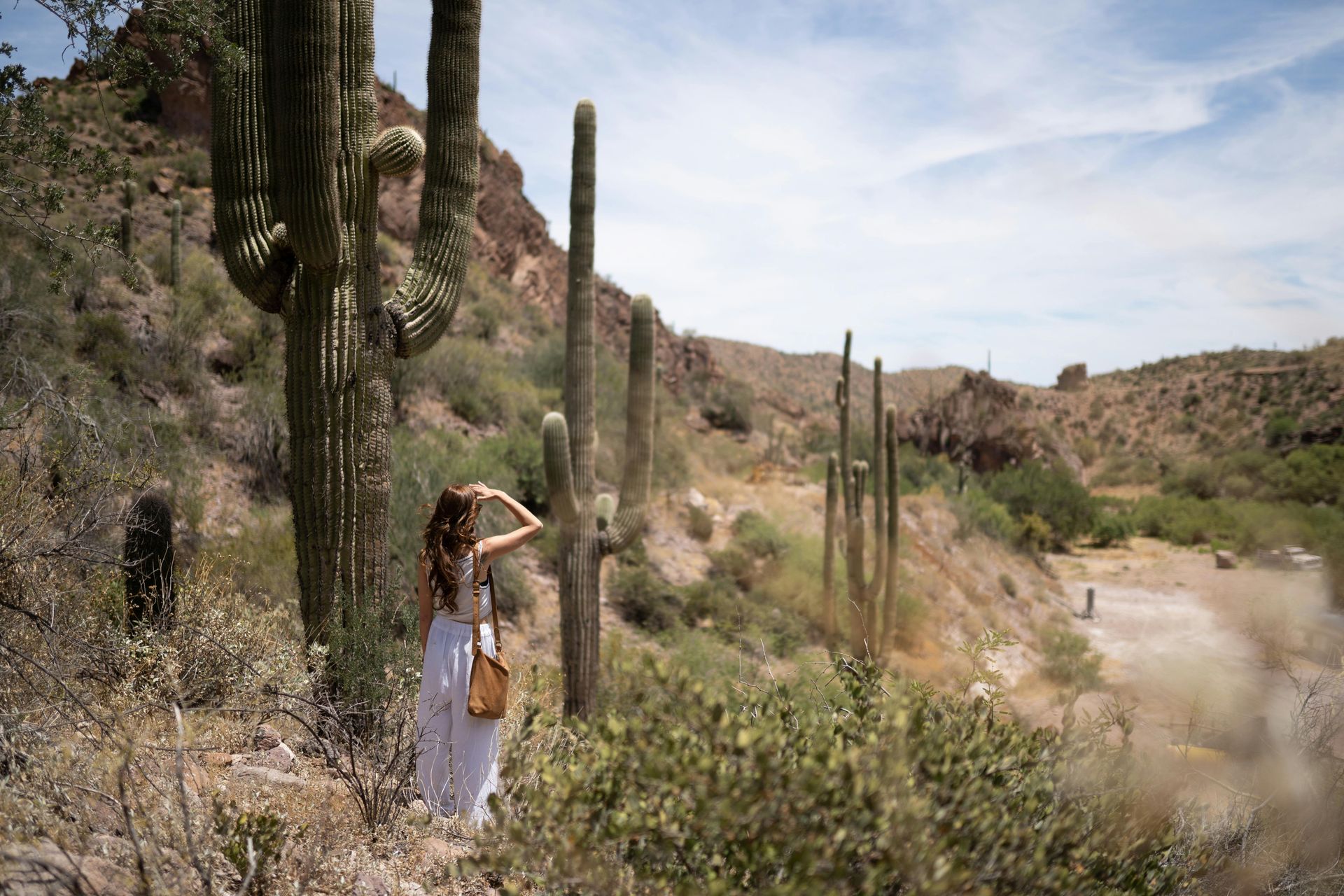 Bonelli Financial Group assisting Phoenix homeowners with FHA and Non-QM loans