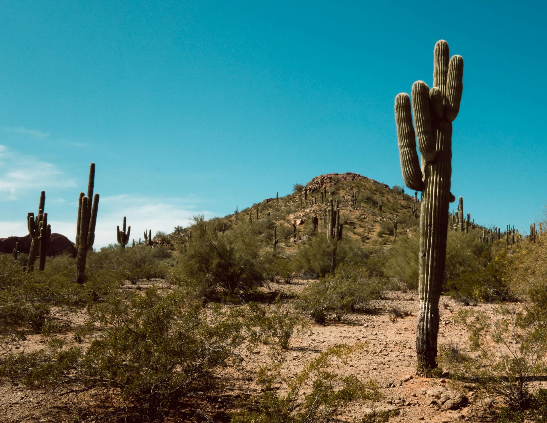 Phoenix mortgage broker helping clients with home loans