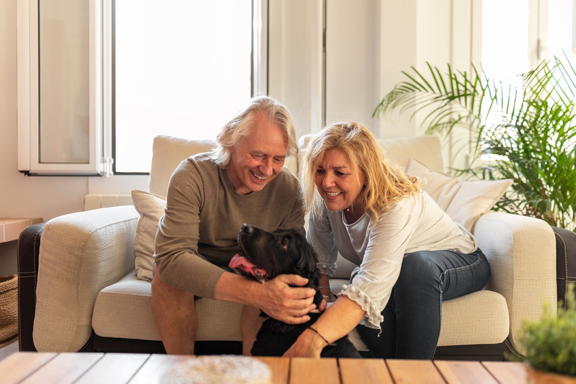 Couple sitting on a couch gently holding a small black dog in a bright living room
