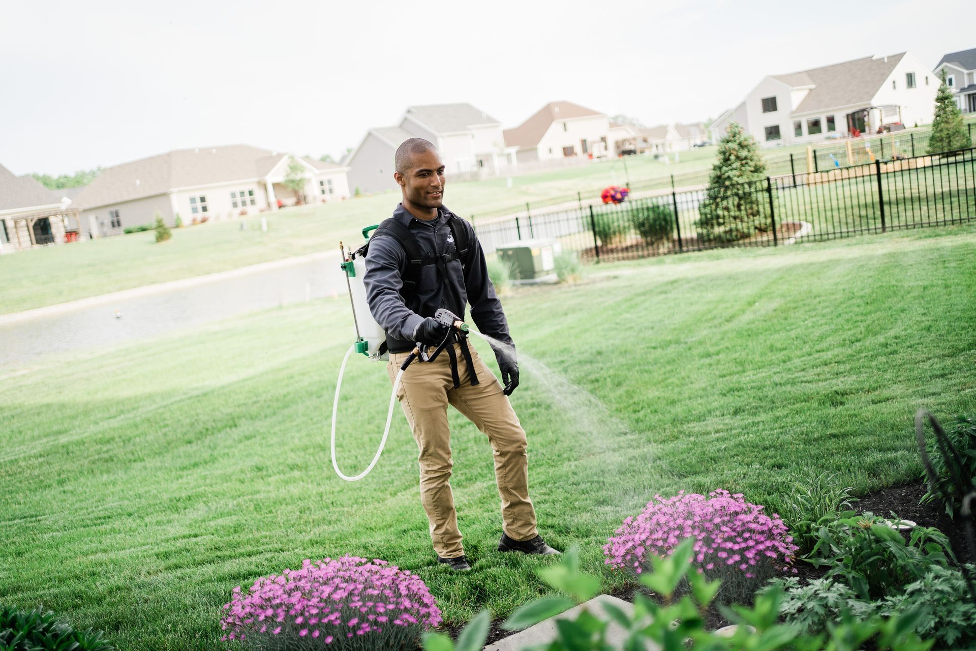 sammamish exterminators and pest control