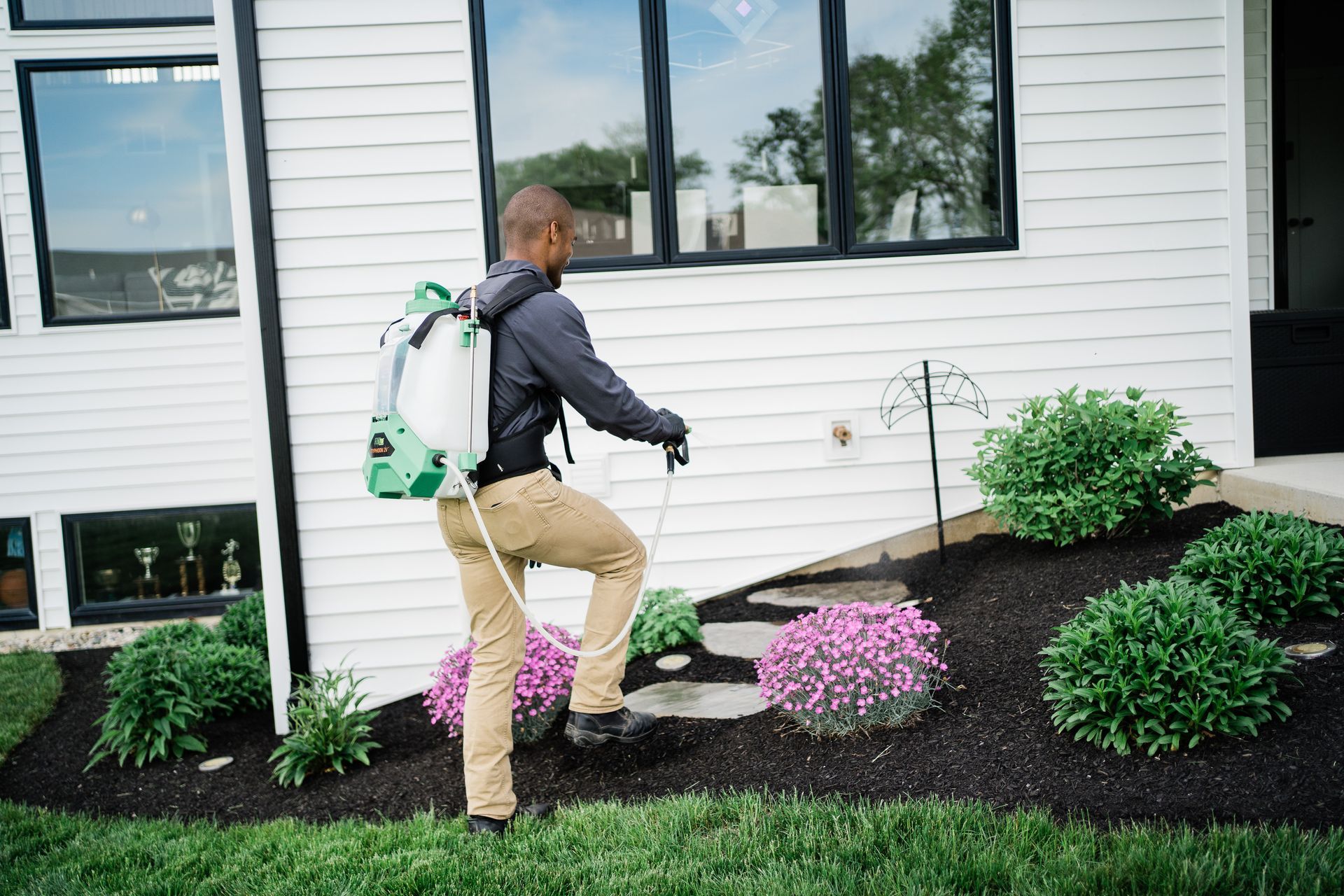 mosquito control and extermination in sammamish wa